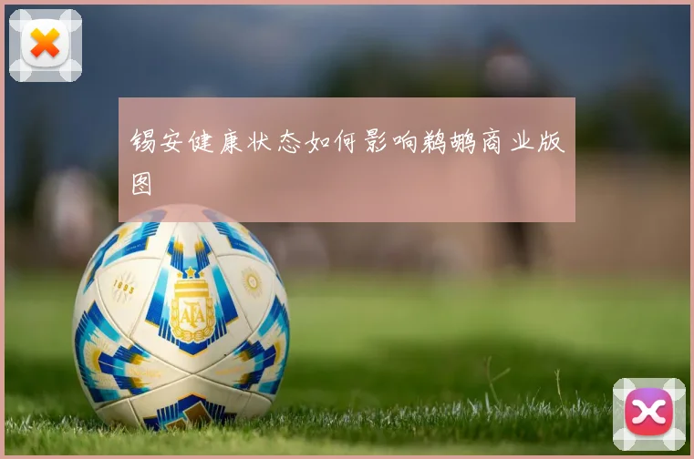 锡安健康状态如何影响鹈鹕商业版图