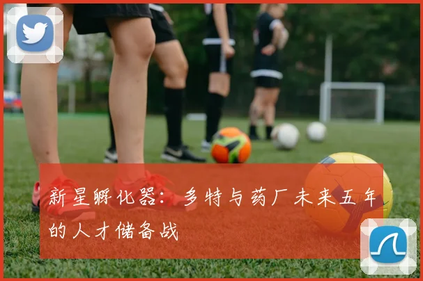 新星孵化器：多特与药厂未来五年的人才储备战