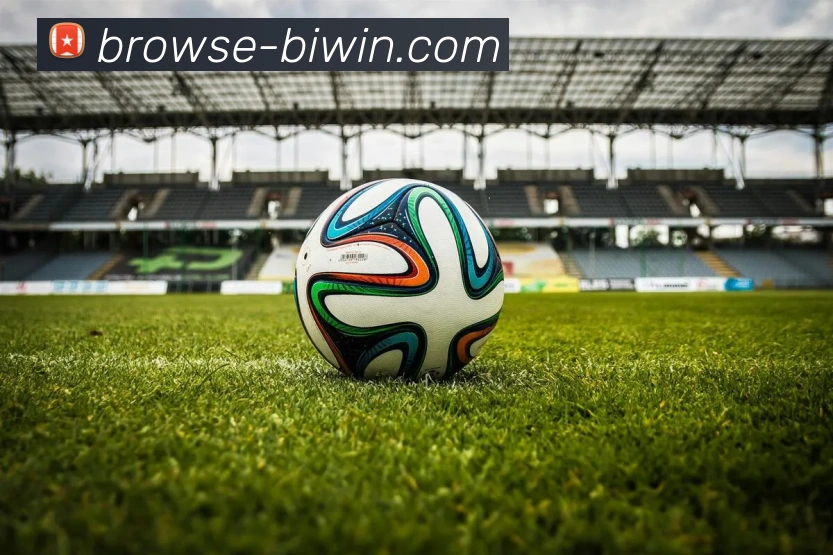 biwin平台生态图